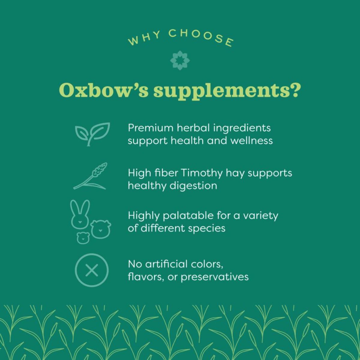 Oxbow Natural Science Multi Vitamin Supplement for Rabbits and Guinea Pigs image 3