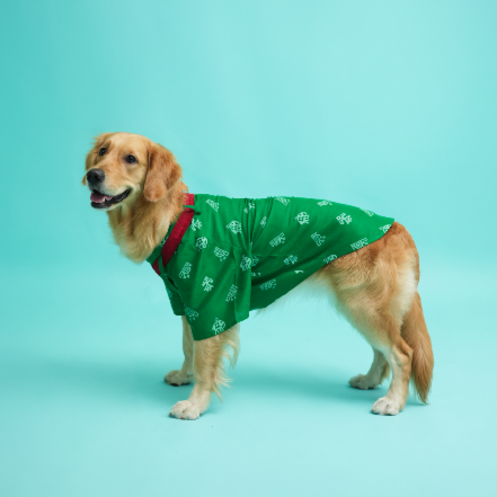 Floof & Co Cotton Patola Print Kurta for Dogs (Green) image 3