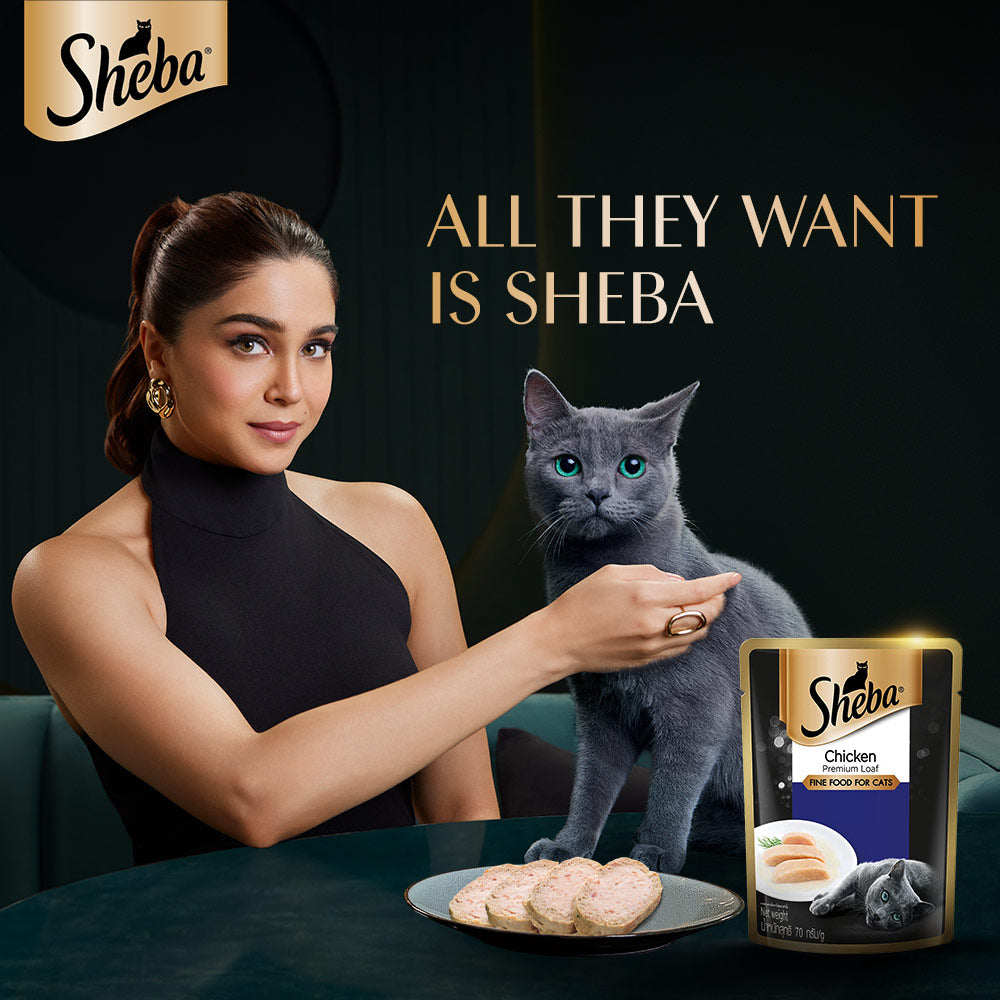 Sheba Chicken Loaf Rich Premium Adult Fine Cat Wet Food image 4