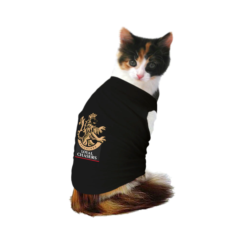 Ruse IPL "Loyal Chasers Bangalore" Printed Tank Jersey for Cats (Black) | Indian Pet League