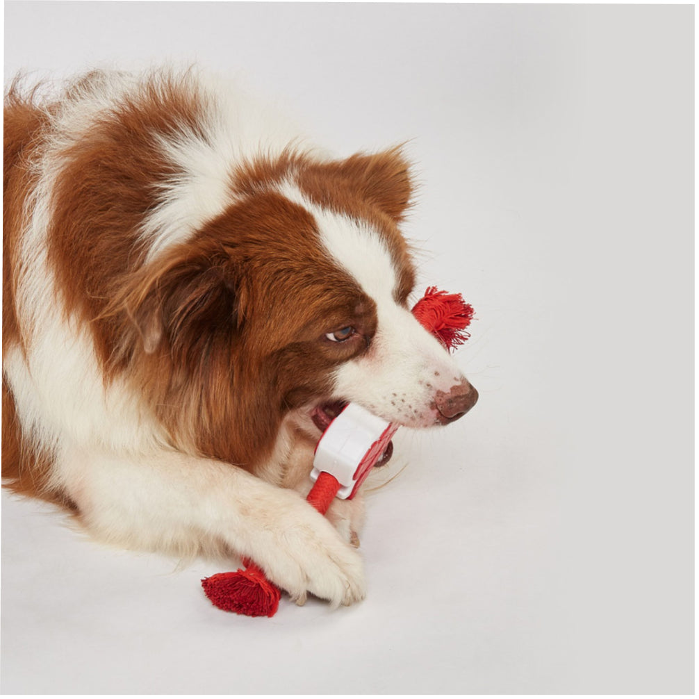 Fofos Steak Shaped Chew Rope Toy for Dogs image 2