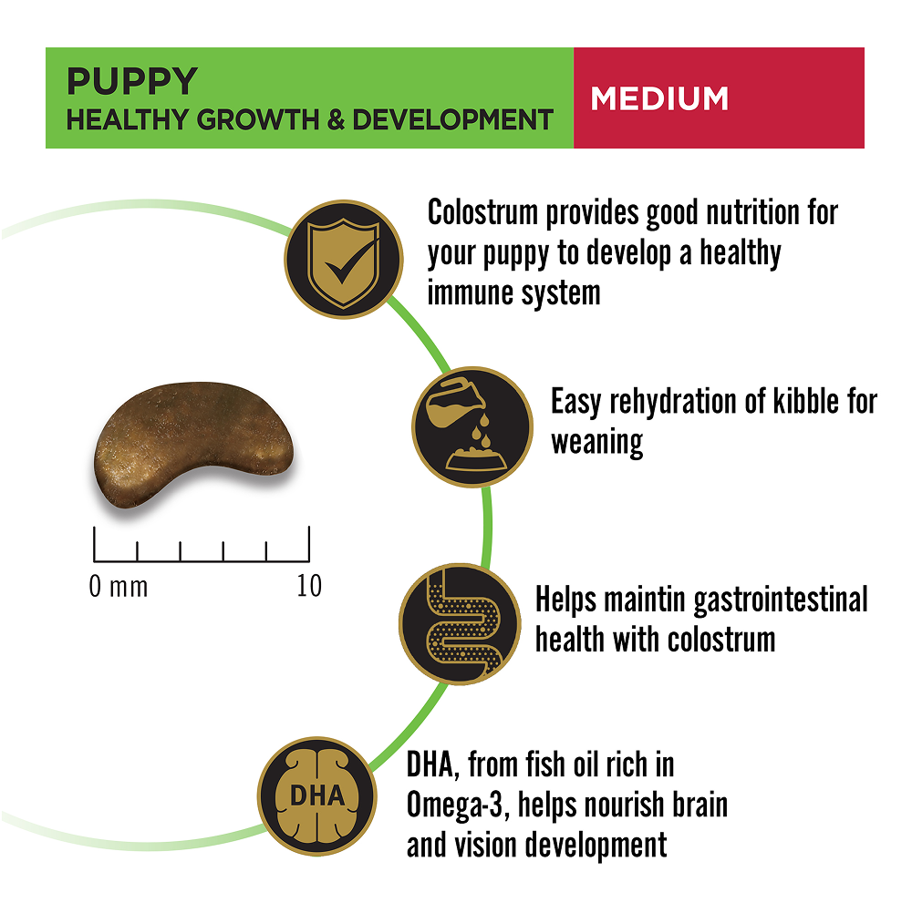 Purina Pro Plan Chicken Medium Breed Puppy Dog Dry Food (New Improved Formula) image 8