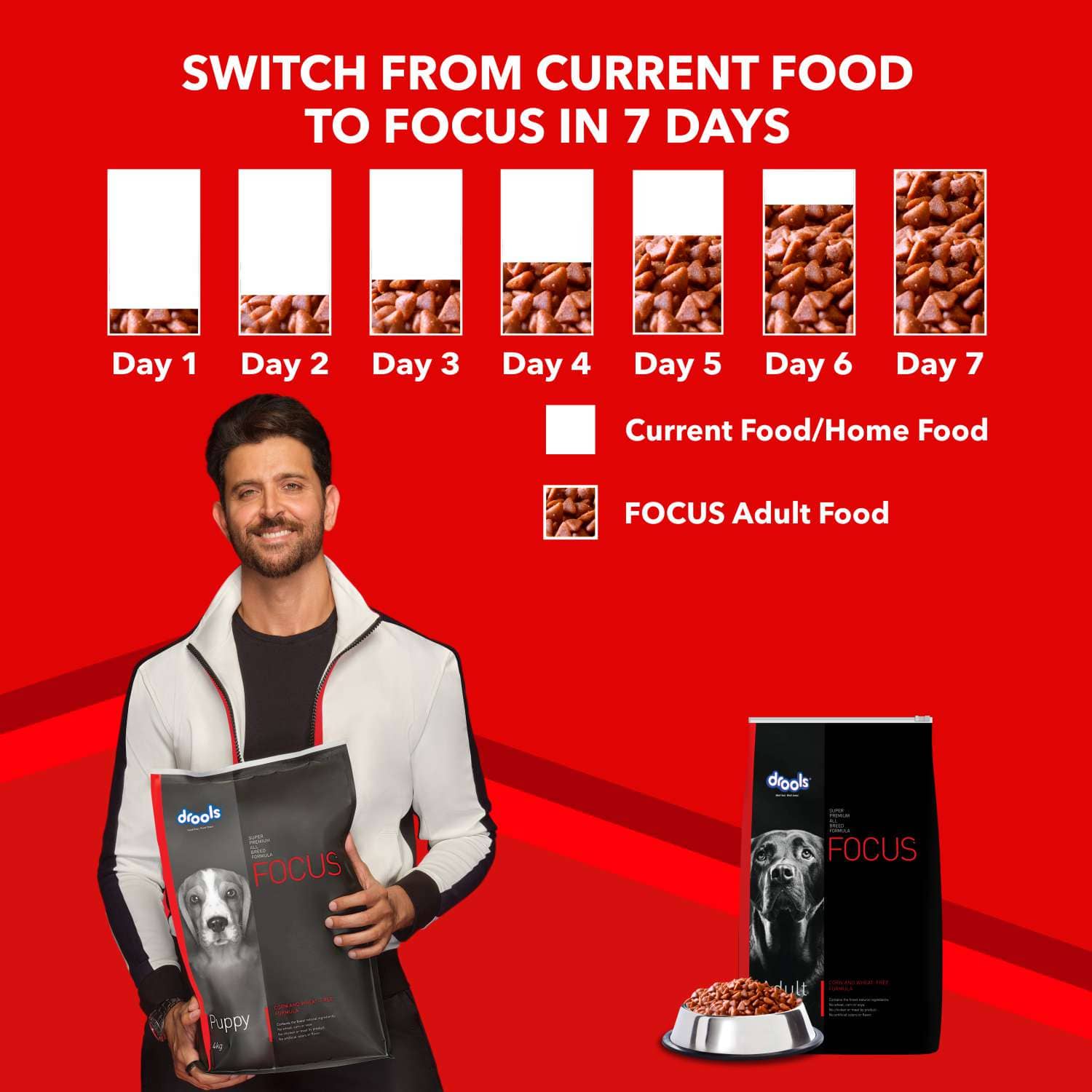 Drools Focus Super Premium Dry Food and Chicken & Liver Chunks in Gravy Adult Dog Wet Food Combo image 8