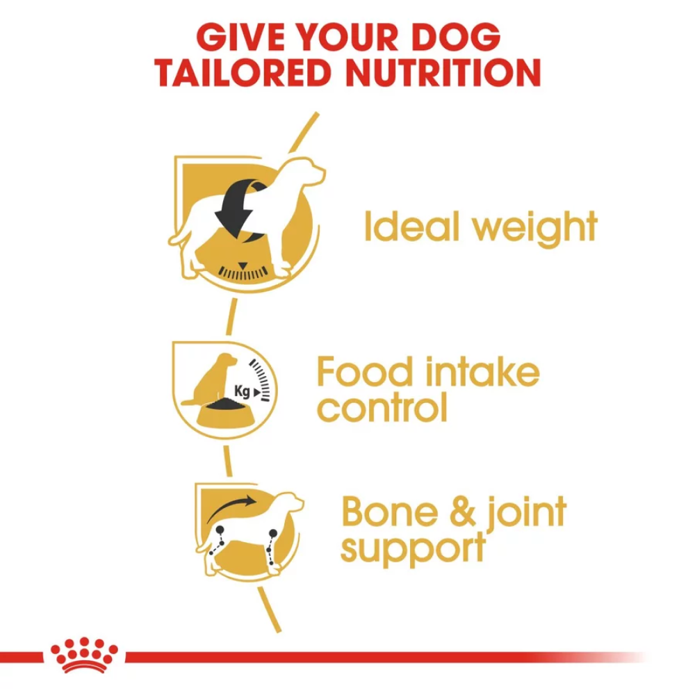 Royal Canin Beagle Adult Dog Dry Food image 2