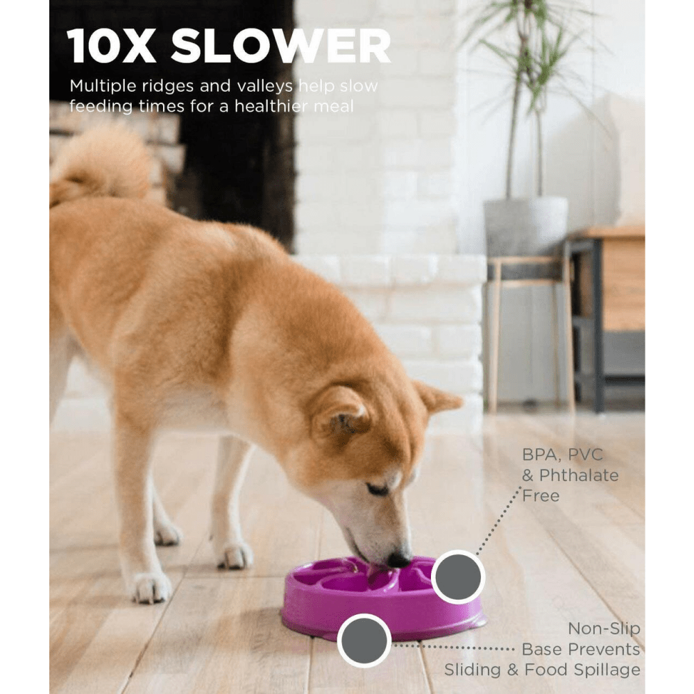 Outward Hound Fun/Slow Feeder for Dogs (Purple) image 5