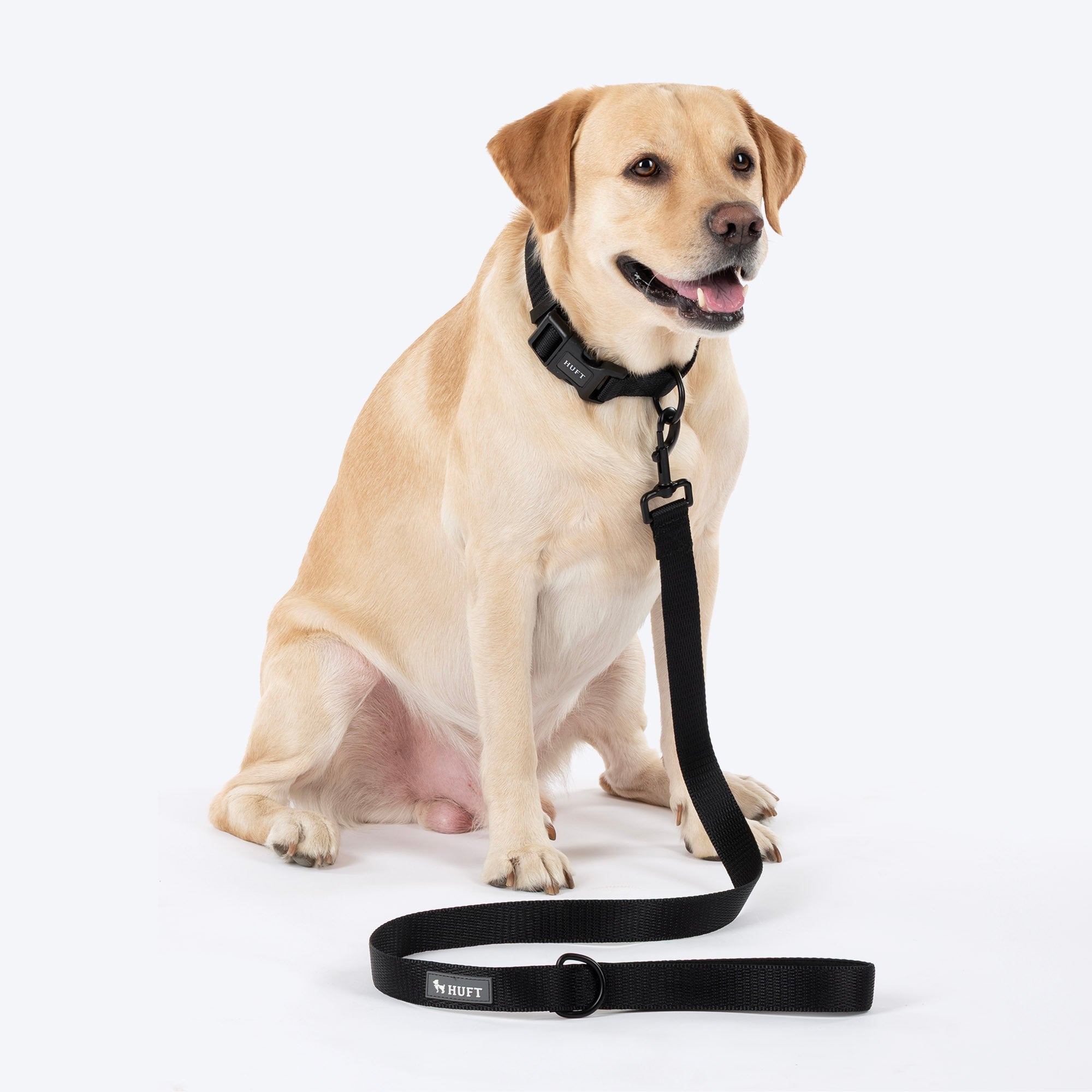 HUFT Classic Leash for Dogs (Coal Black) image 4