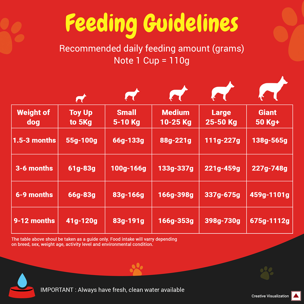 Purina SuperCoat Chicken Smartblend Puppy Dog Dry Food (Up to 12 months) image 5