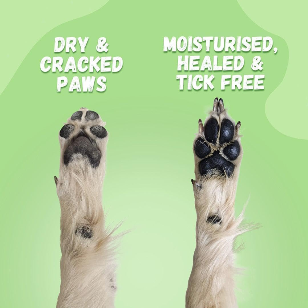 Unleash Wellness Natural Paw Balm for Dogs and Cats image 6
