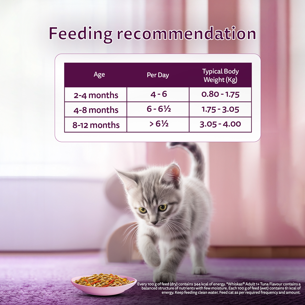 Whiskas Tasty Mix Seafood Cocktail Carrot Gravy Kitten Cat Wet Food image 7