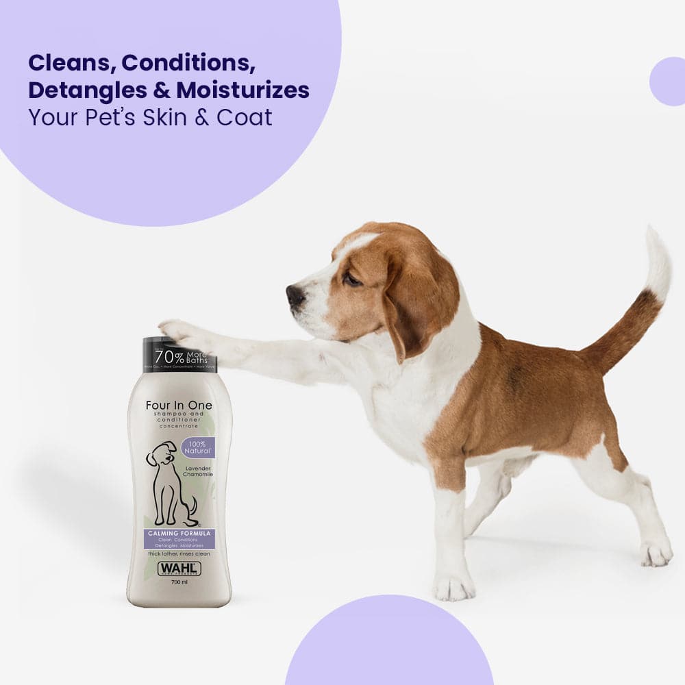 Wahl Four in One Lavender Chamomile Calming Shampoo for Dogs image 6