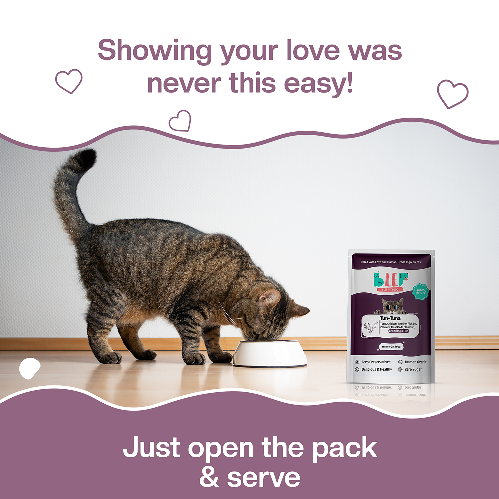 BLEP Tun Tuna Cat Wet Food image 9