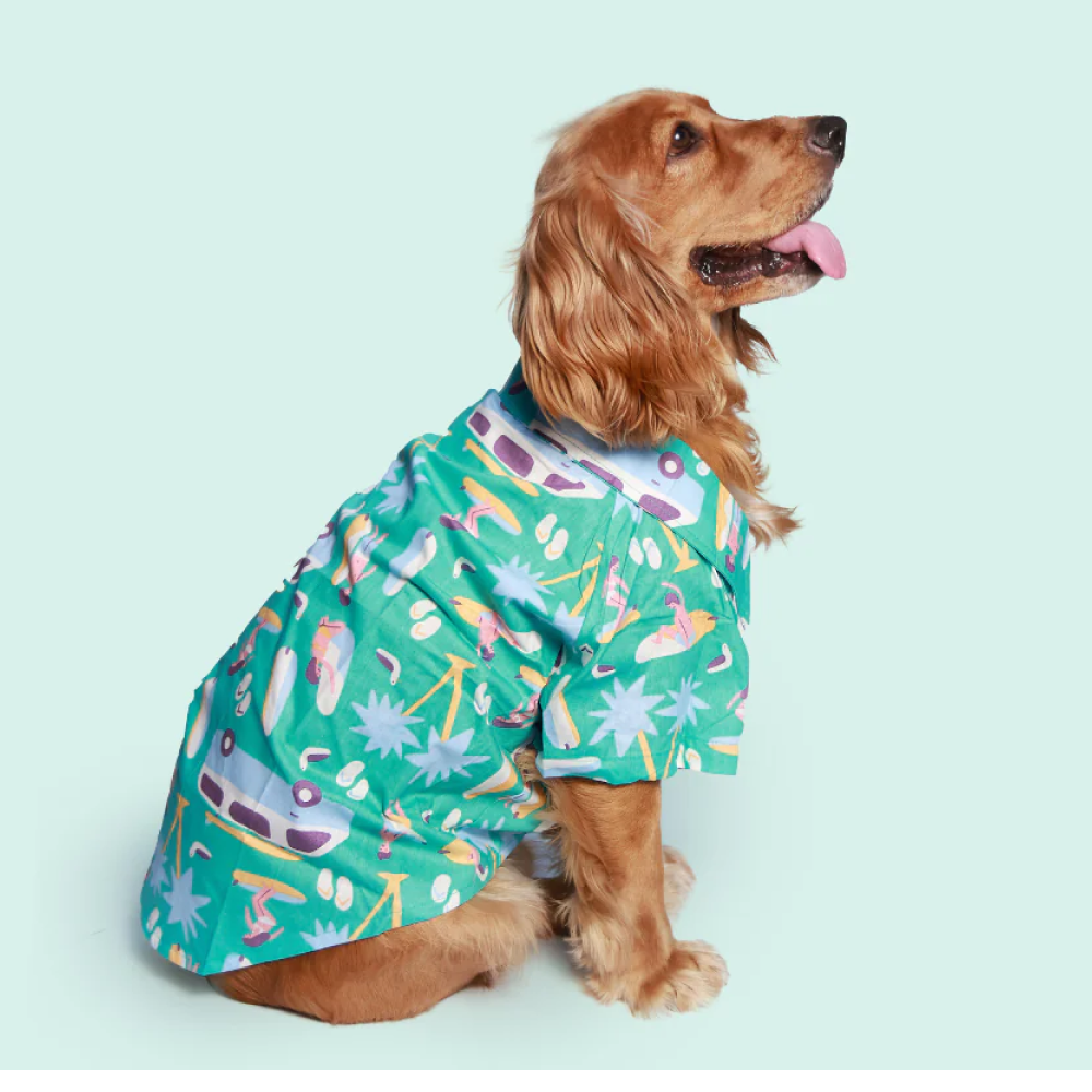 Pet Set Go Beach Club Cotton Shirt for Dogs (Blue) image 3