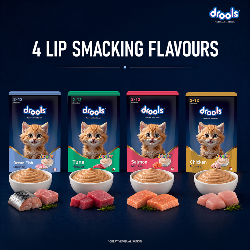Drools Ocean Fish Mousse Kitten Cat Wet Food image 9