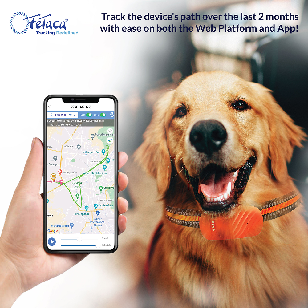FeTaca Smart 4G GPS Tracker with Lifetime Free Tracking & 1 Year Data SIM Subscription for Dogs and Cats (Orange) image 4