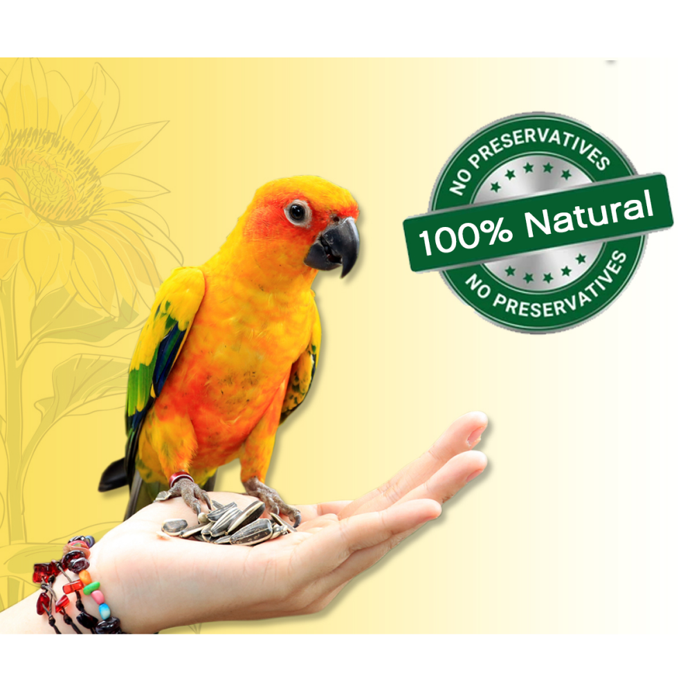 Boltz Striped Sunflower Seeds Bird Food image 7