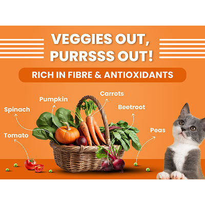 Bark Out Loud Salmon and Chicken Kitten Dry Food image 7