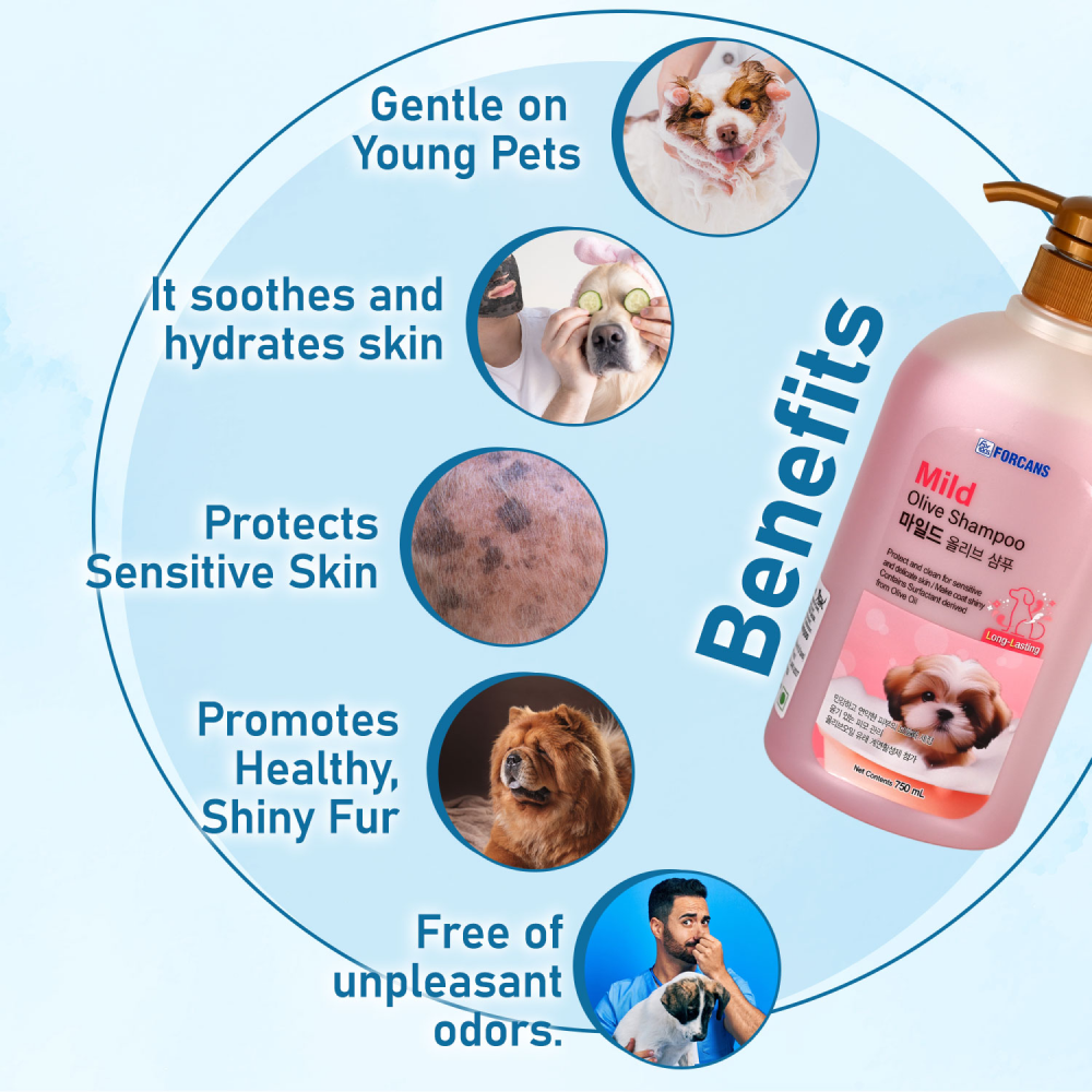 Forbis/Forcans Mild Olive Shampoo for Puppies & Kittens image 7