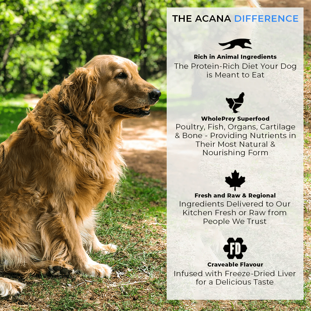 Acana Adult Large Breed Dog Dry Food image 6