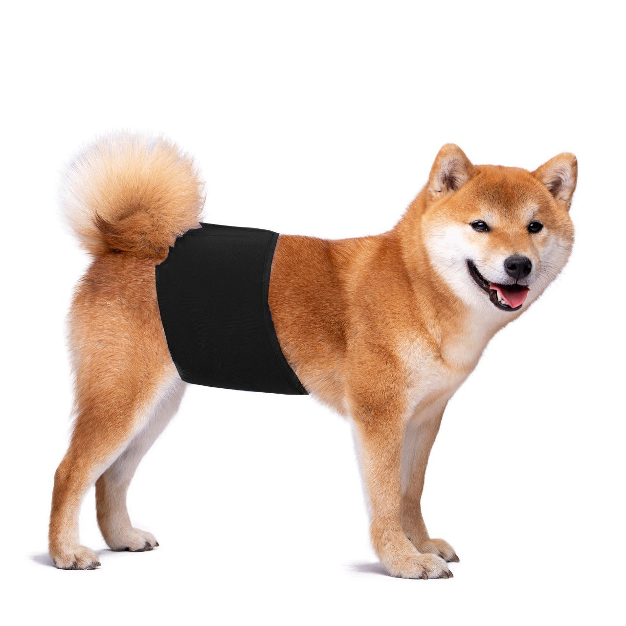 KUTKUT Diapers for Male Dogs (Black) image 10