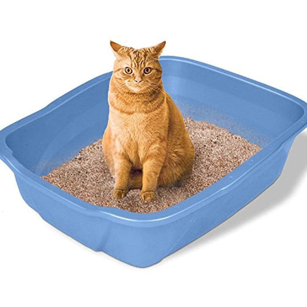 Emily Pets Rose Scented Bentonite Cat Litter image 3