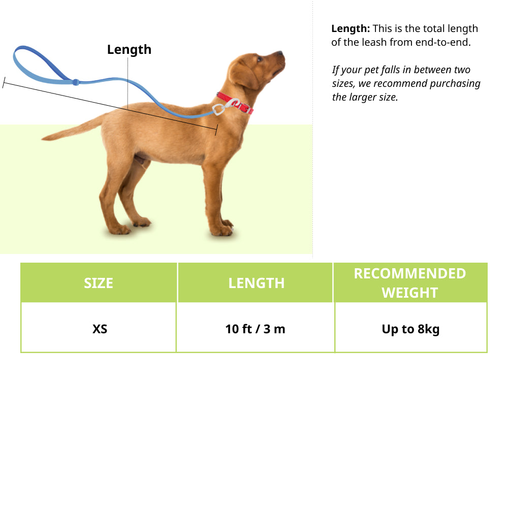 Trixie Flexi Classic Cordless Leash for Cats (Black) image 2