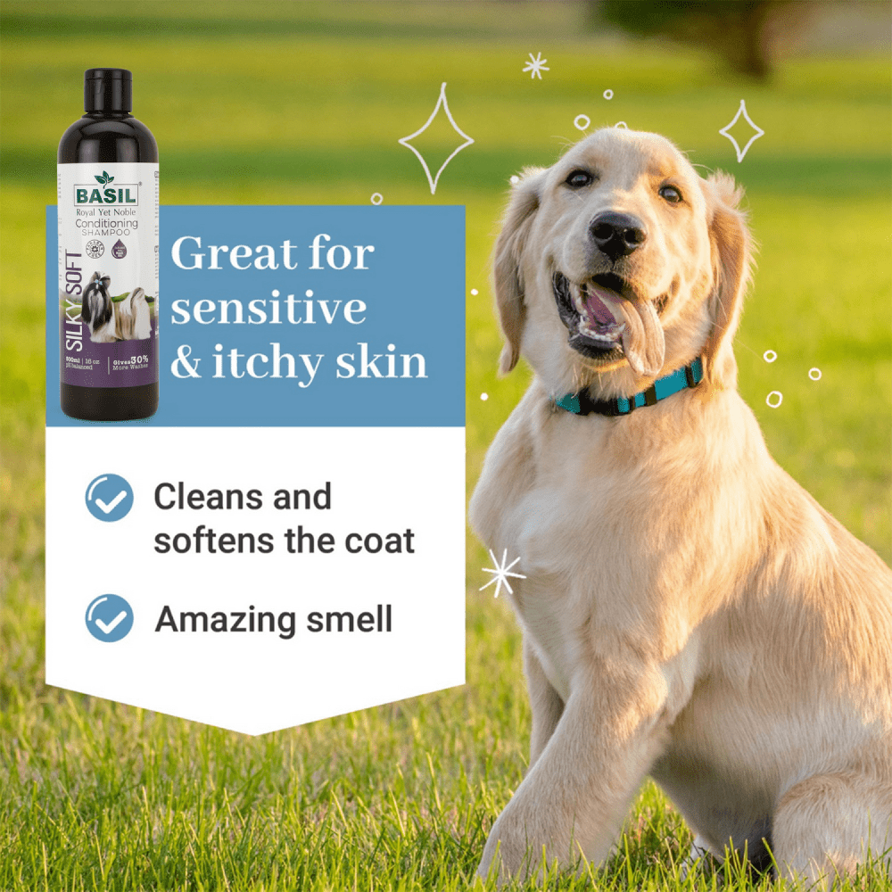 Basil Silky Soft Conditioning Dog Shampoo image 4