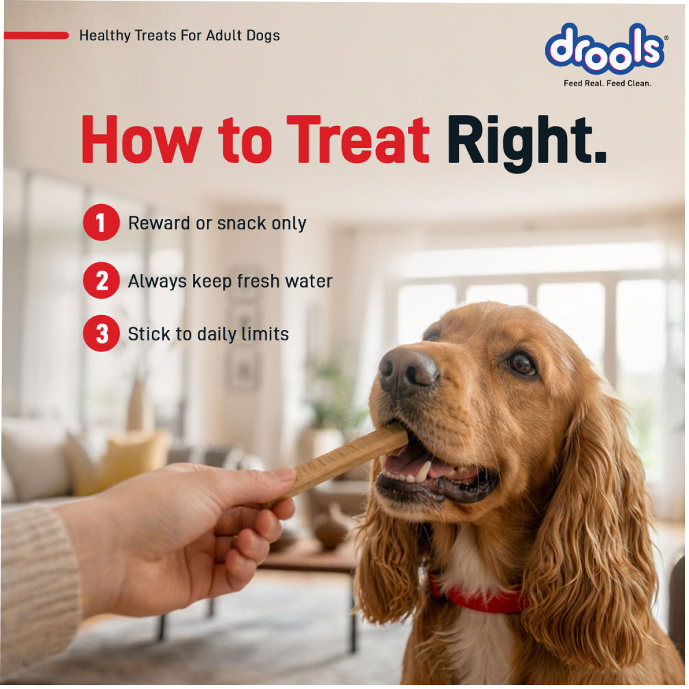 Drools Chicken Sticks Dog treats image 3