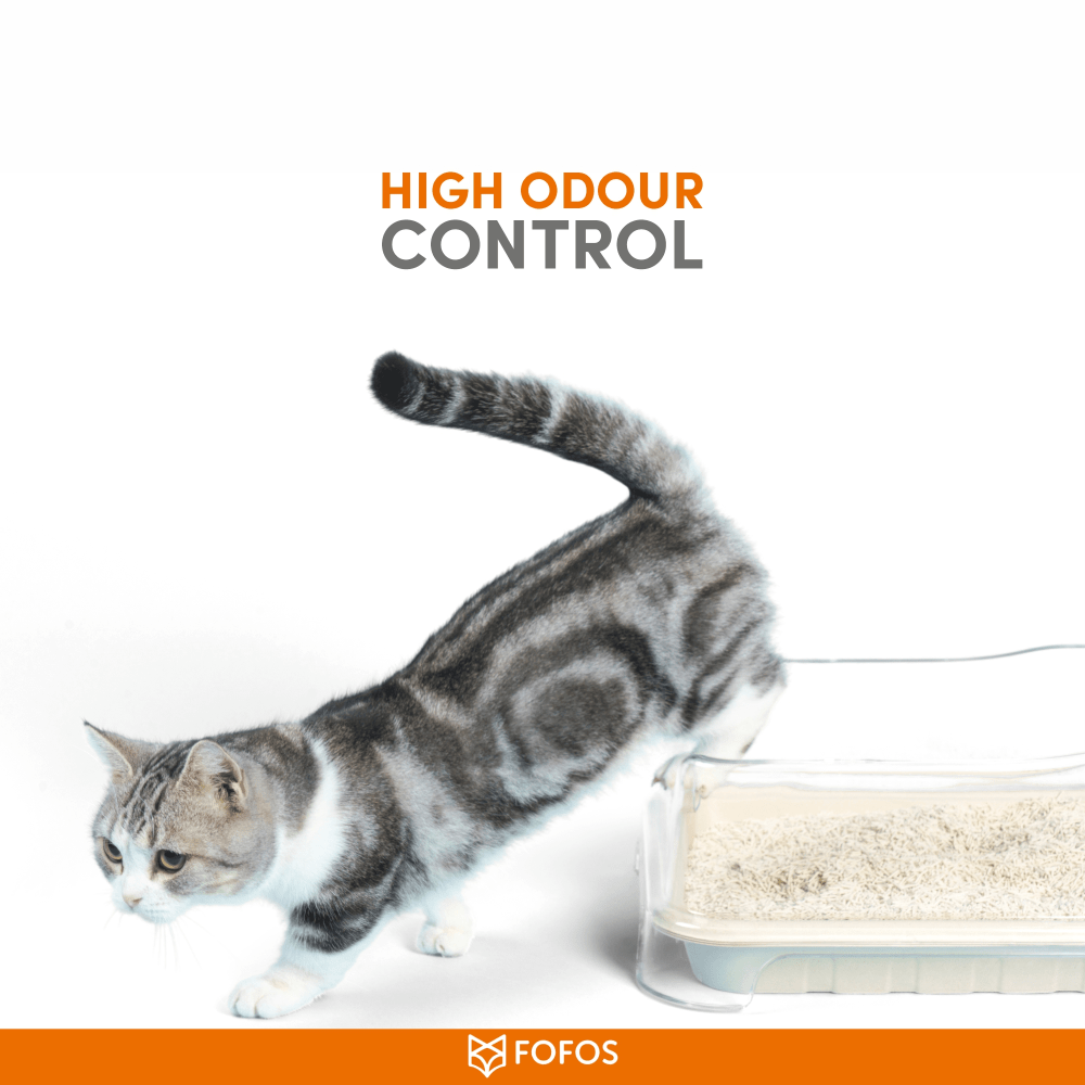 Barkbutler x Fofos Unscented Tofu & Crushed Bentonite Cat Litter image 7