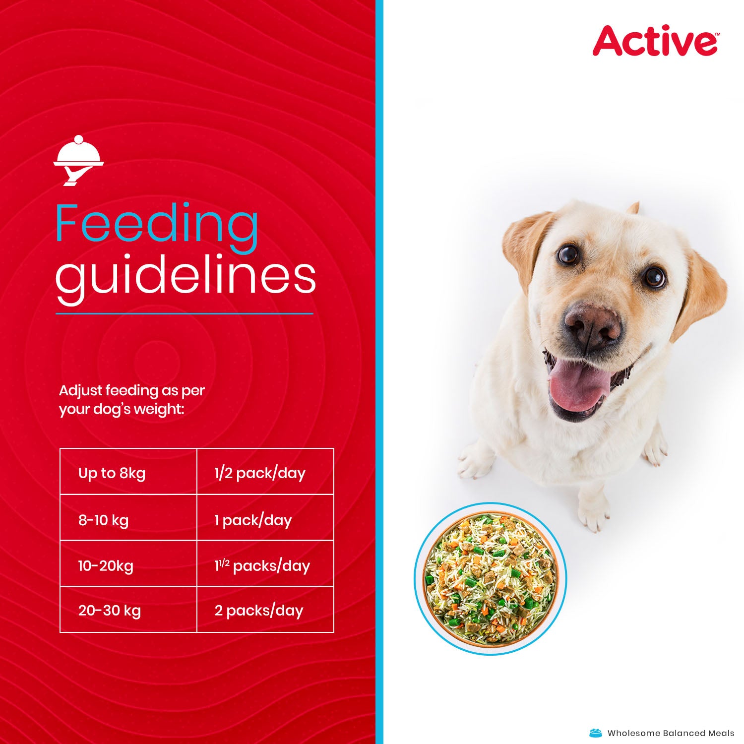 Active Mutton Biryani Fresh Food for Dogs (Buy 1 Get 1) image 6