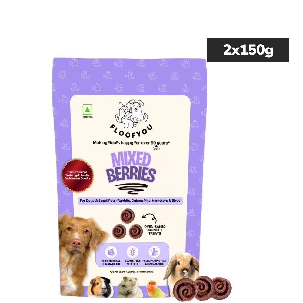 Floofyou Mixed Berries Vegan Oven Baked Cookie Dog Treats image 2
