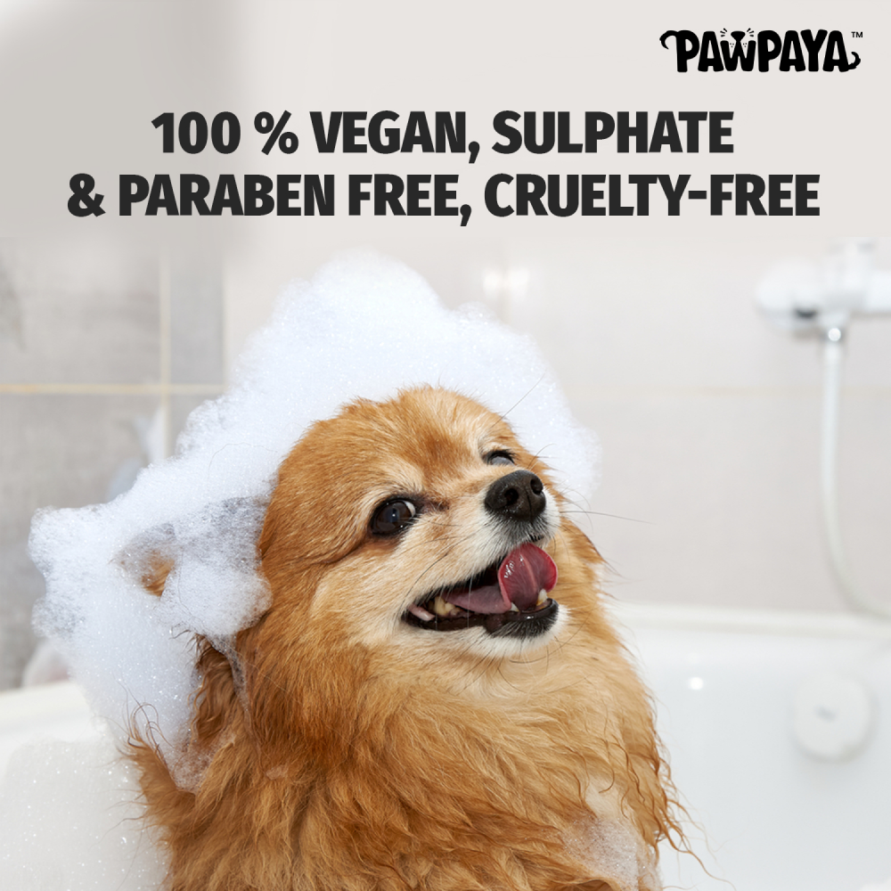 Pawpaya Short Coat Shampoo for Dogs image 2