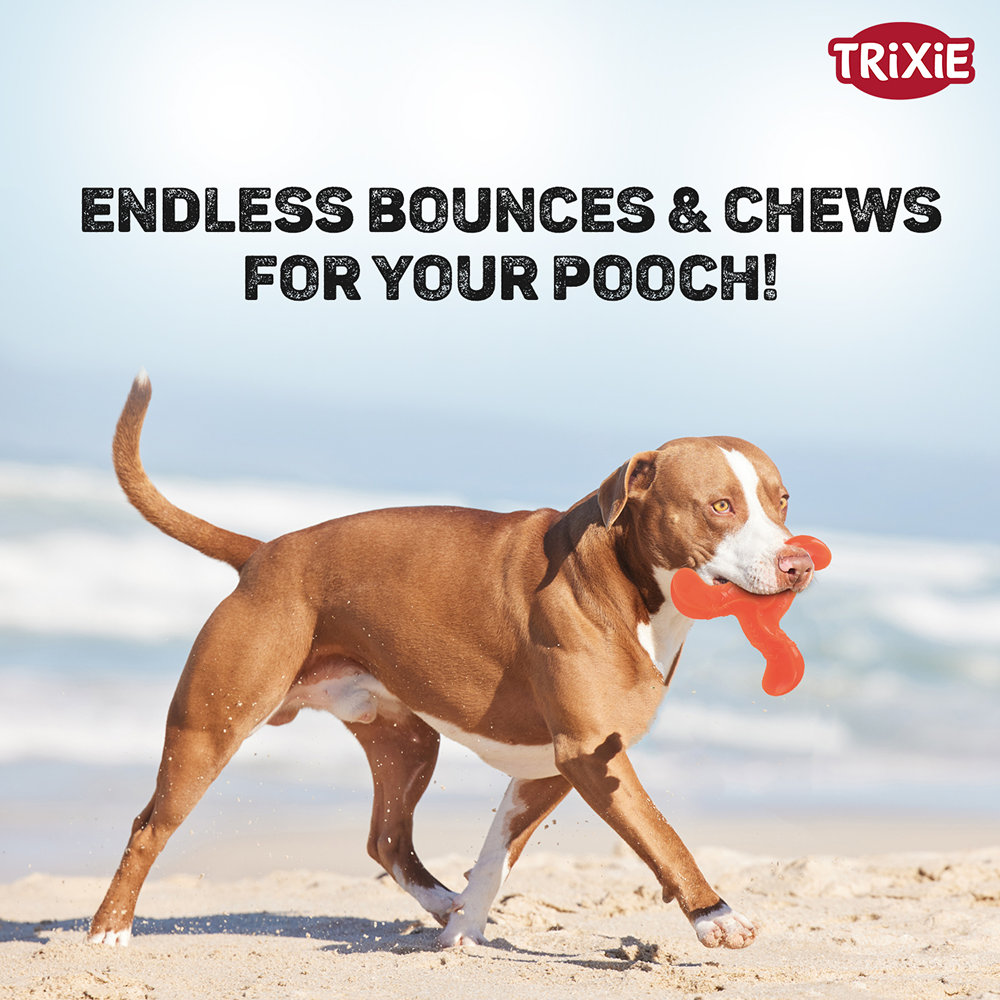 Trixie Triplex Bungee Boomerang Chew Toy for Dogs (Orange) image 6