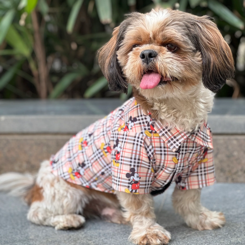 Pawgypets Mickey Check Shirt for Dogs (Beige)