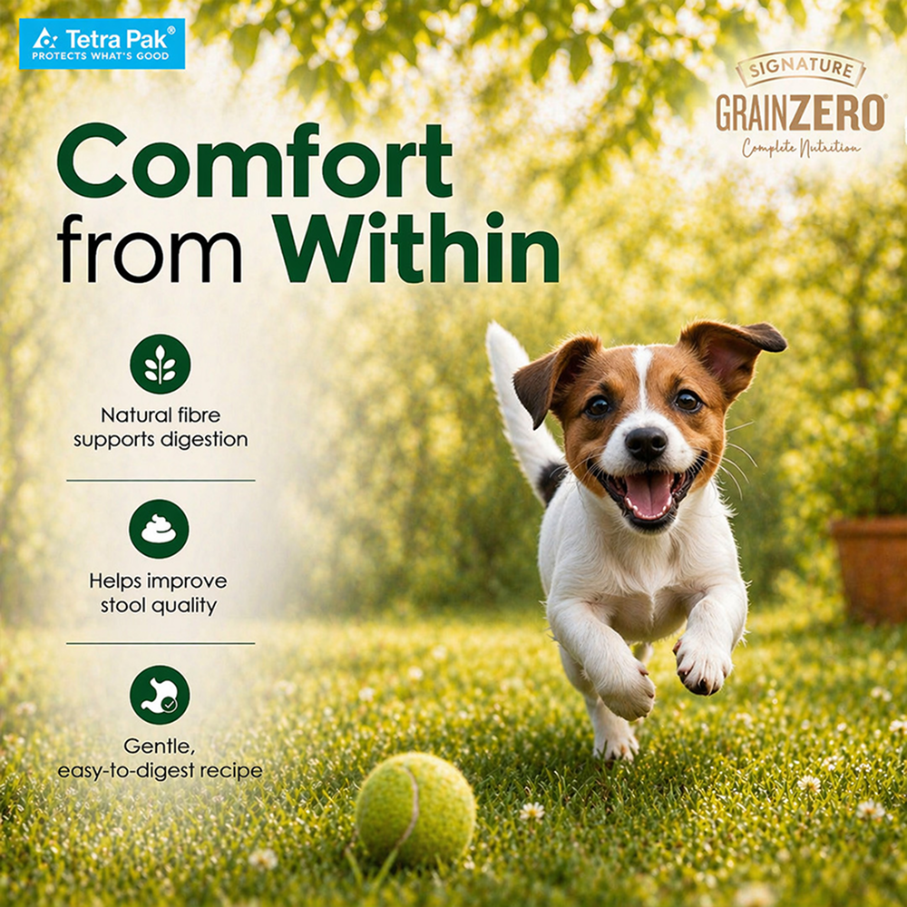 Signature Grain Zero Tetra Pack Real Chicken Veggies Dog Fresh Food image 6