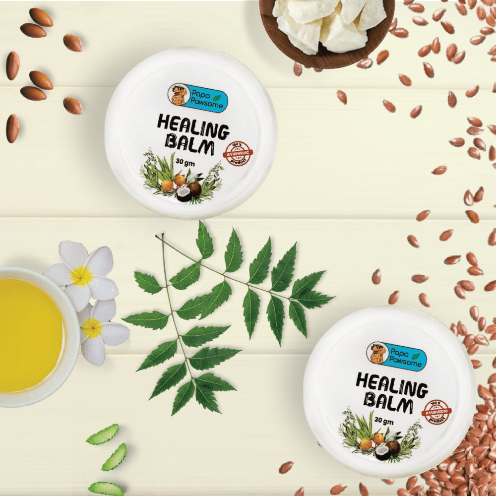Papa Pawsome 100% Natural Healing Balm for Dog image 5