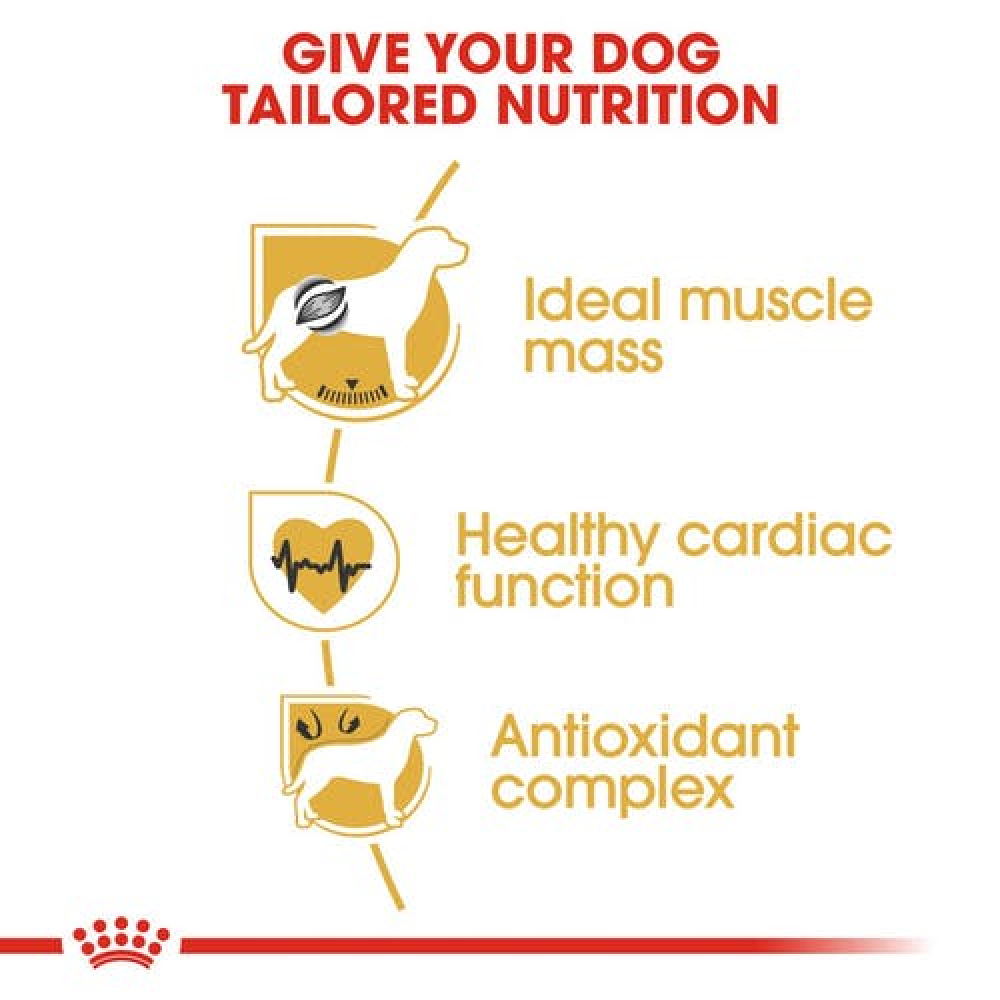 Royal Canin Boxer Adult Dog Dry Food image 3