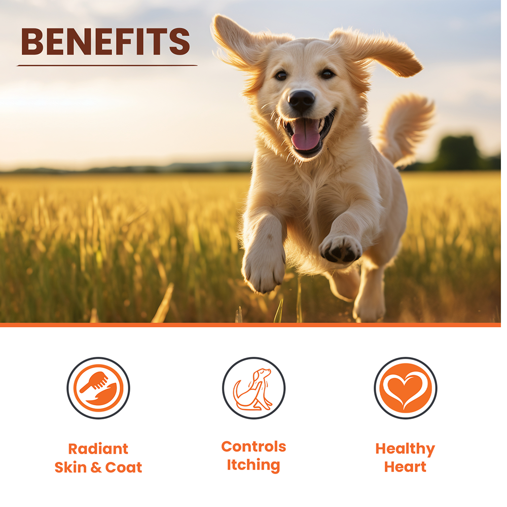 Lickicious Skin & Coat Syrup with Salmon Oil Omega 3 6 9 for Dogs & Cats image 3