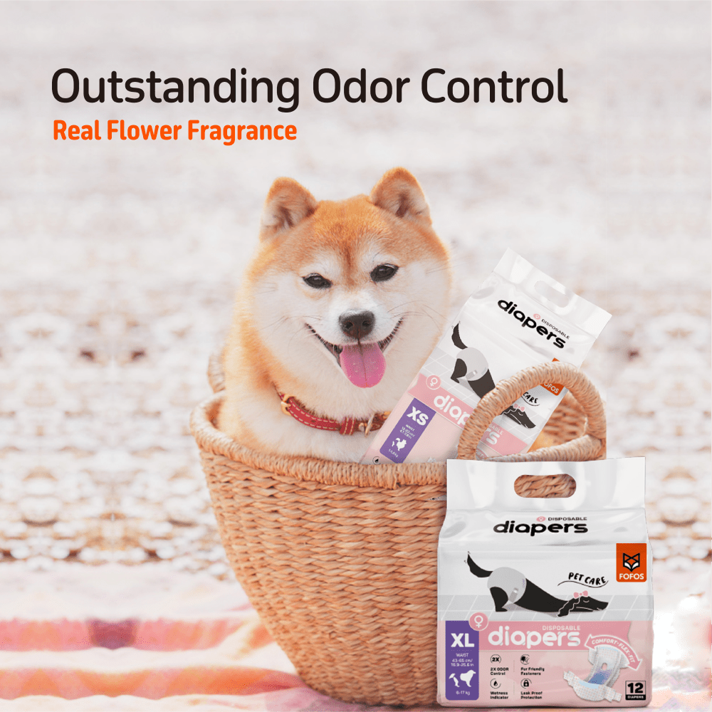 Barkbutler x Fofos Diaper for Male Dog (20x25cm) image 6