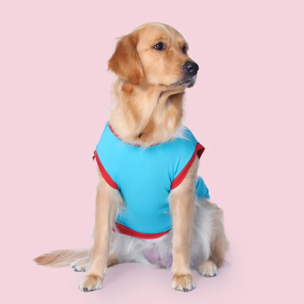 Pet Set Go Favourite Child Tshirt for Dogs (Blue) image 4
