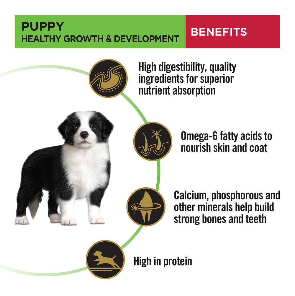 Purina Pro Plan Chicken Medium Breed Puppy Dog Dry Food (New Improved Formula) image 9