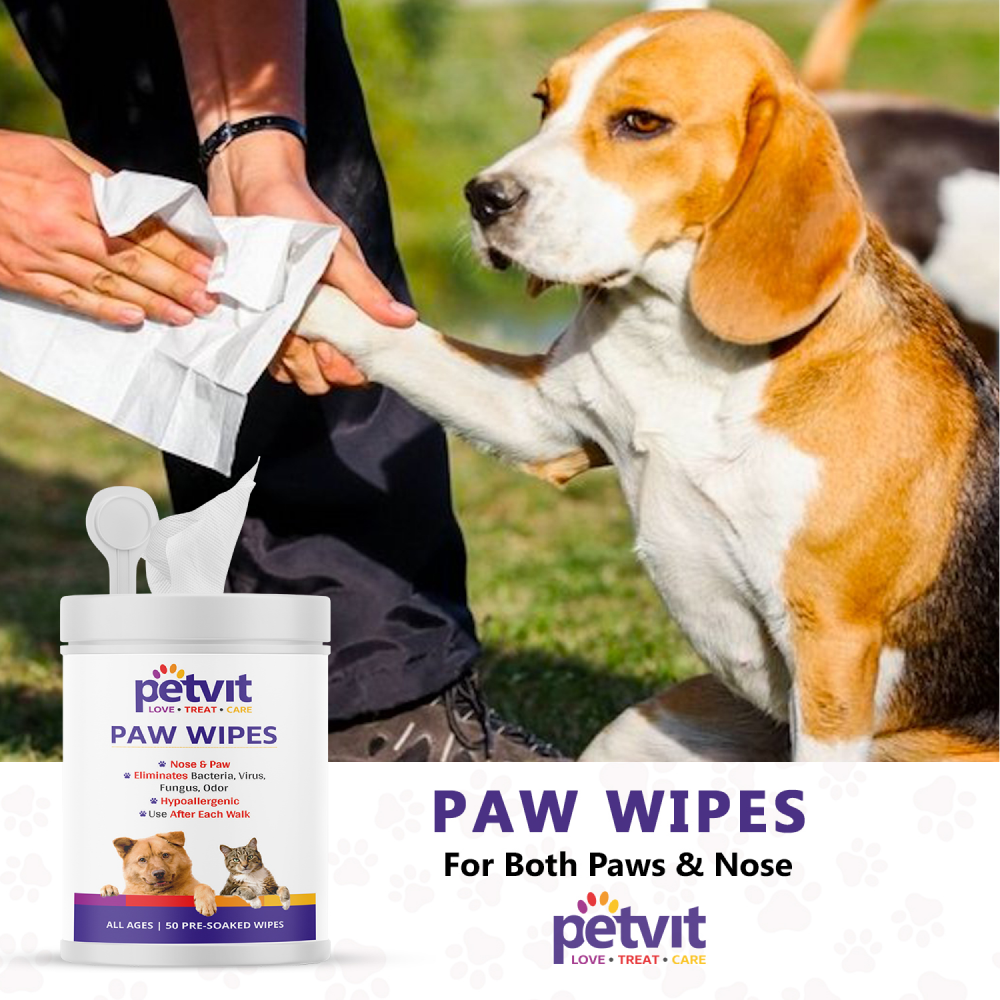 Petvit Paw & Nose Wipes for Dogs and Cats image 7