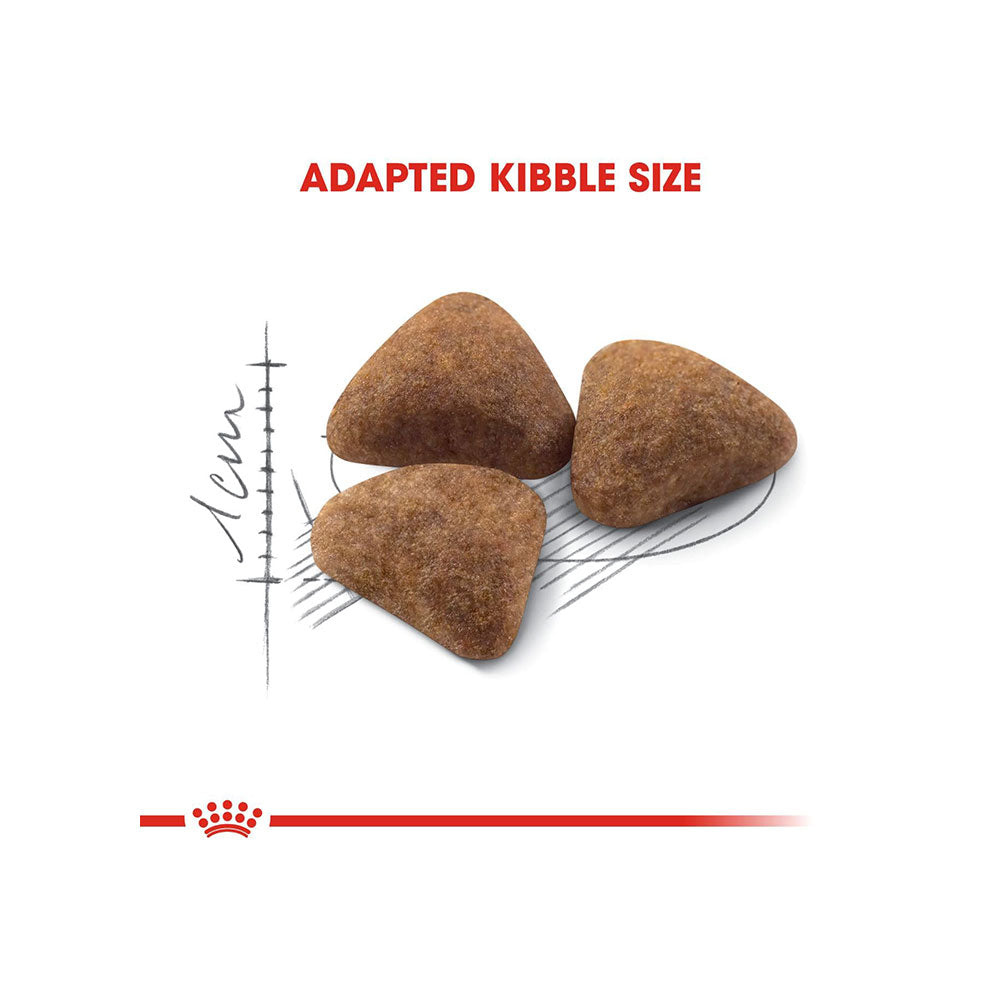 Royal Canin Indoor 27 Dry Cat Food image 3