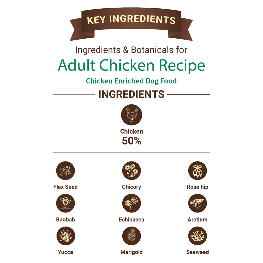 Bruno's Wild Essentials Chicken Recipe Adult Dog Dry Food image 2