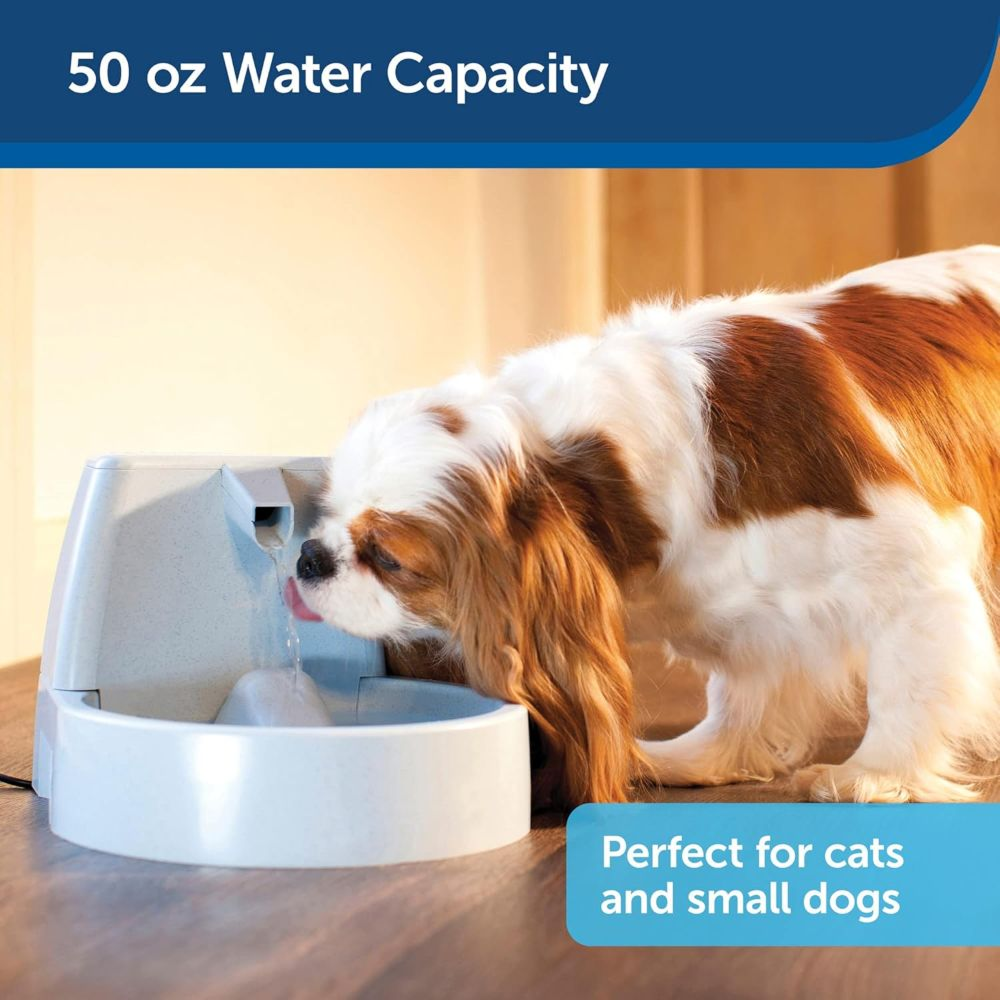 PetSafe Drinkwell Original Pet Fountain for Dogs and Cats image 5