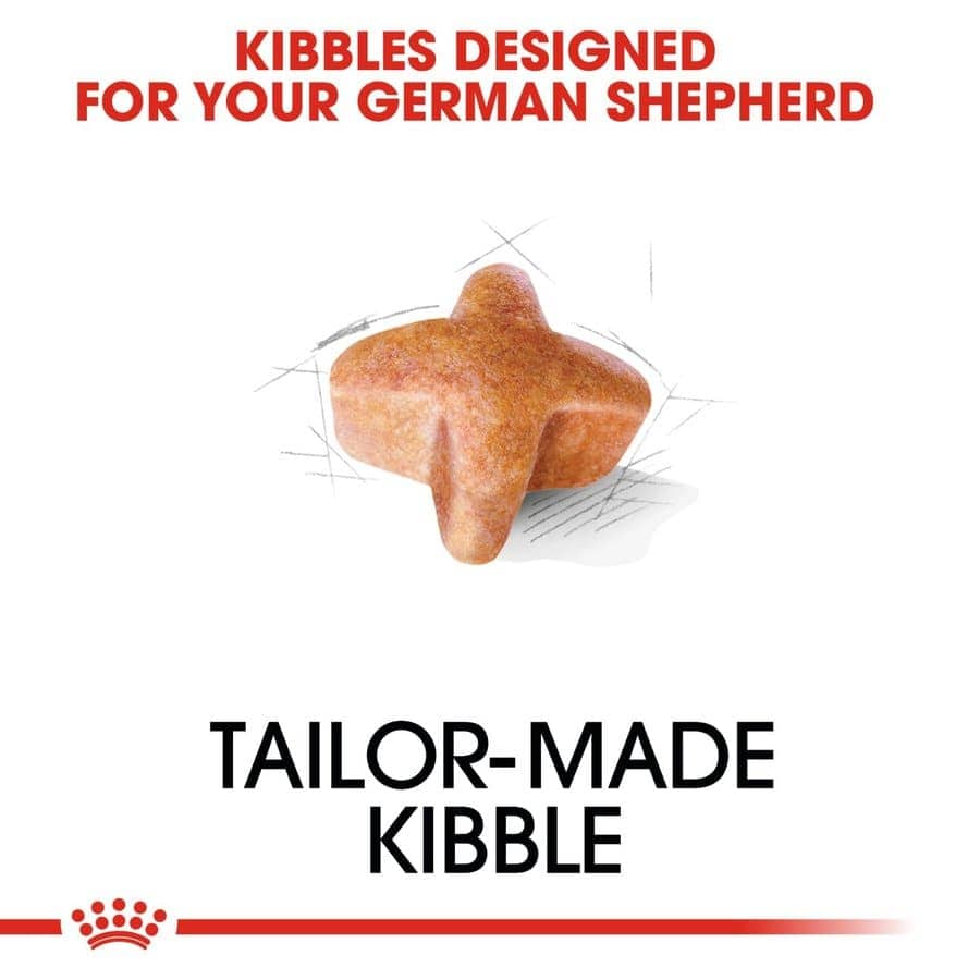 Royal Canin German Shepherd Adult Dog Dry Food image 3
