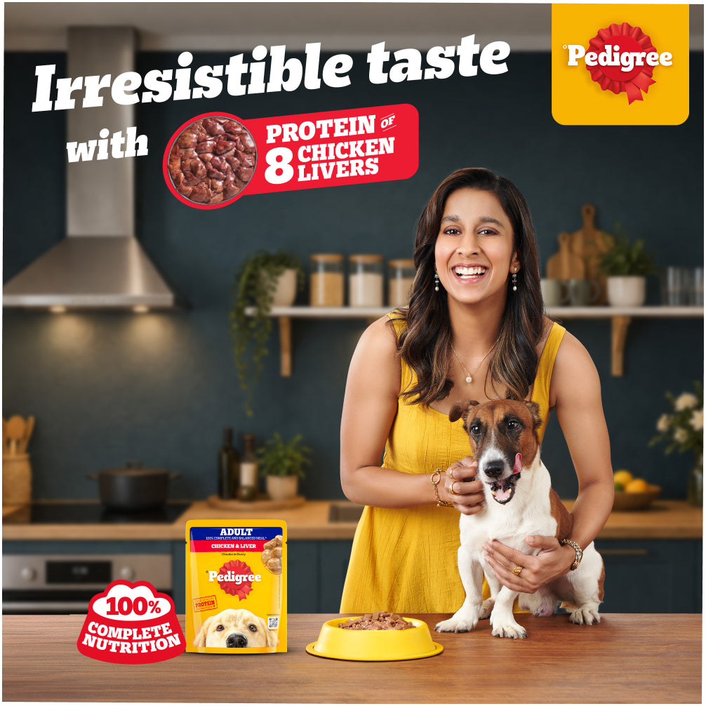 Pedigree Chicken and Liver Chunks in Gravy Adult Dog Wet Food (70g) image 2