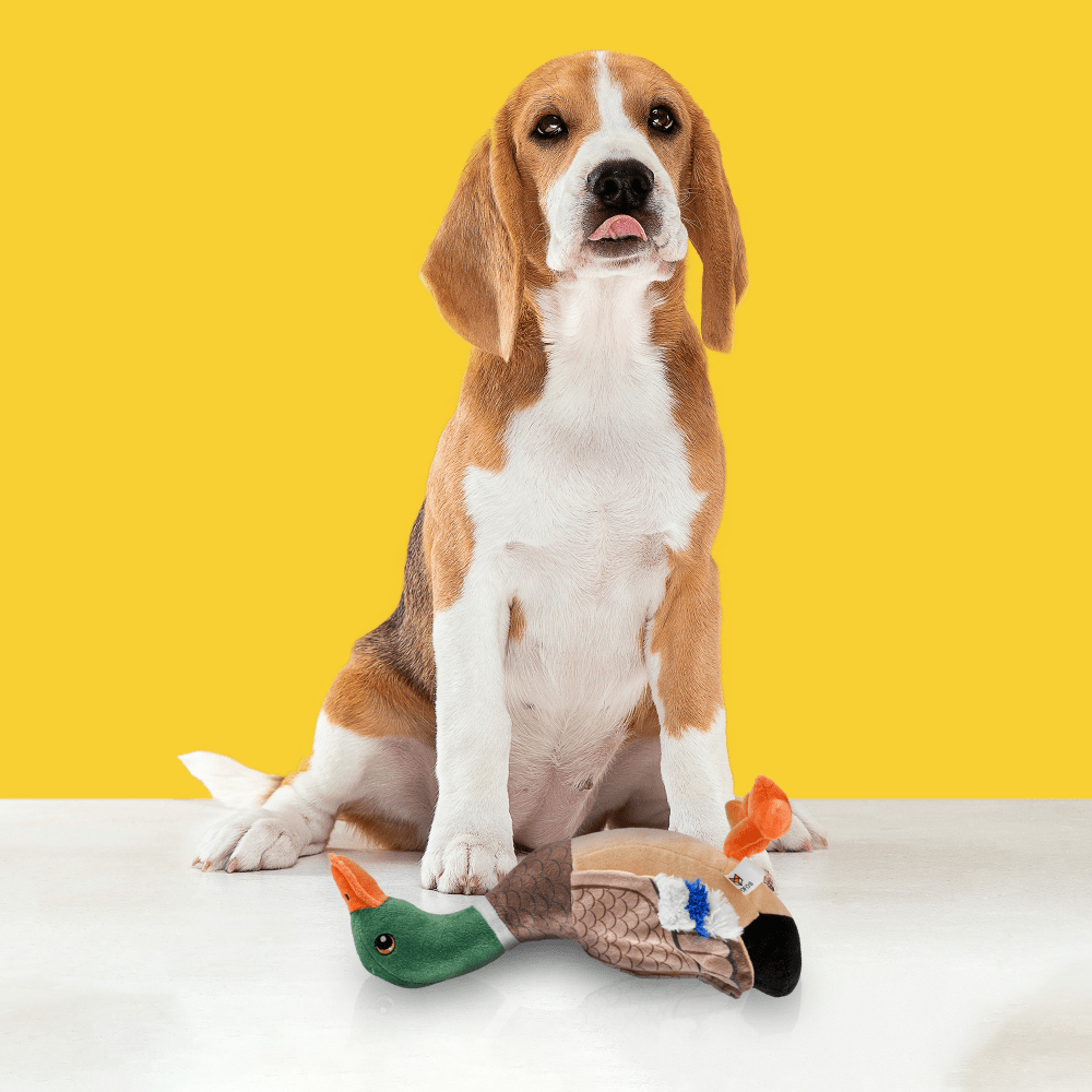 Barkbutler x Fofos Wild Duck Squeaky Plush Toy for Dogs image 9