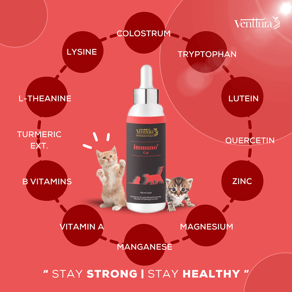 Venttura Immunity Booster & Calming Supplement for Cats image 2