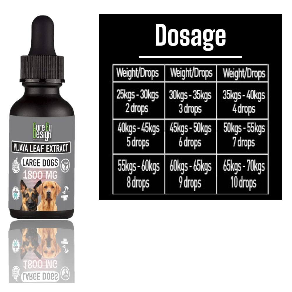 Cure By Design 1800mg Vijaya Leaf Extracts for Dogs and Cats image 5