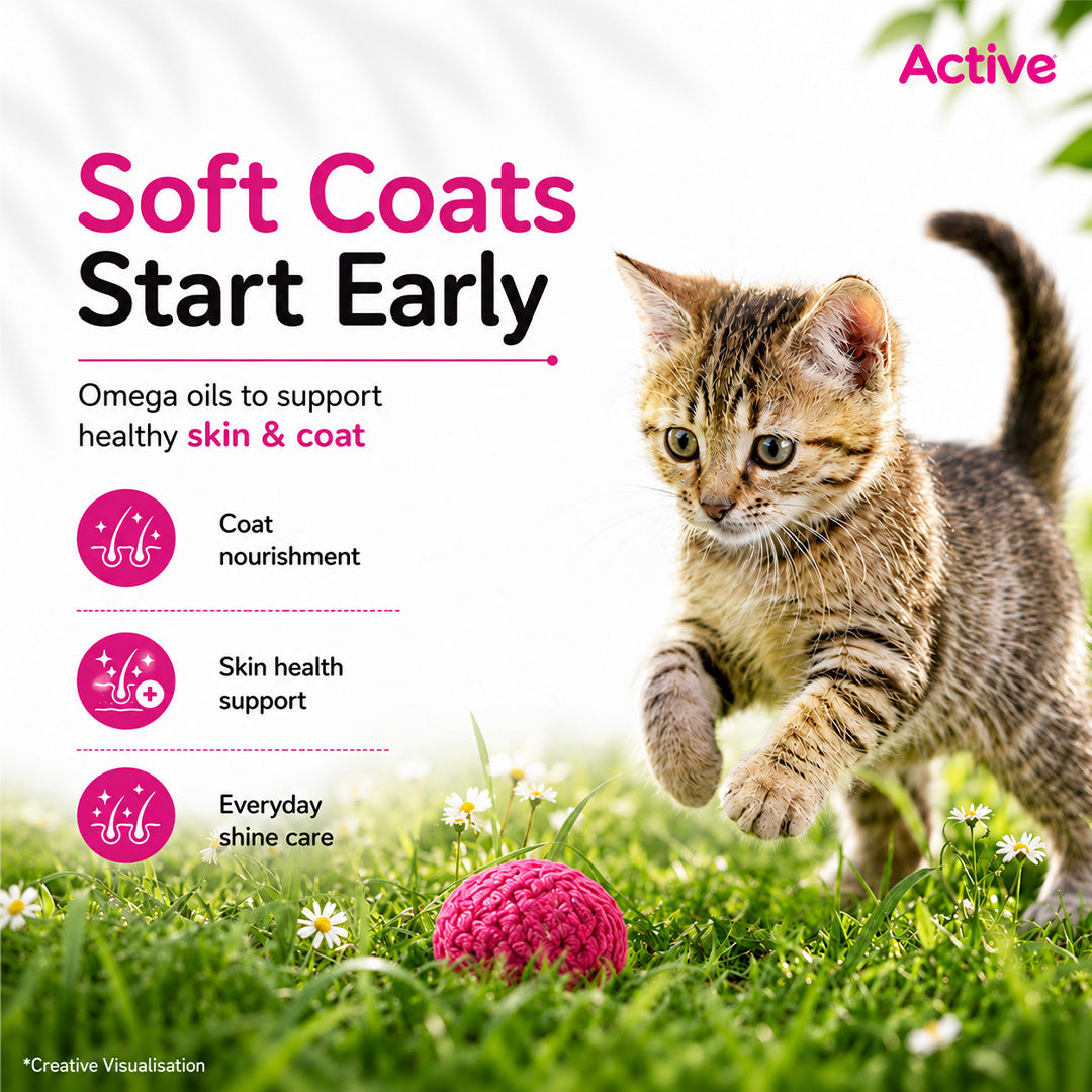 Active Ocean Fish Kitten Cat Dry Food (Buy 1 Get 1) image 6